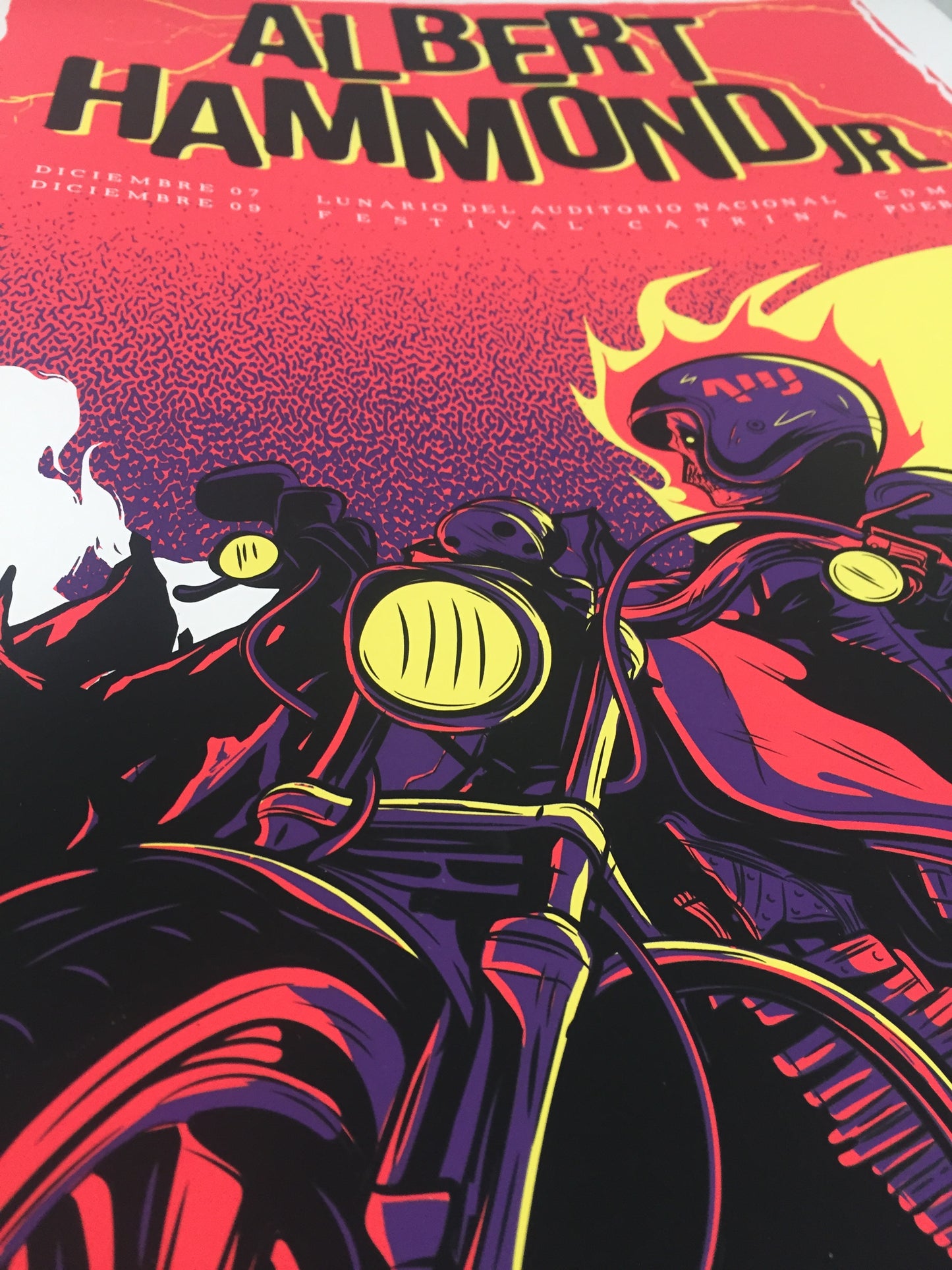 Albert Hammond Jr. Mexico 2017 x Wes Art Studio Gig Poster